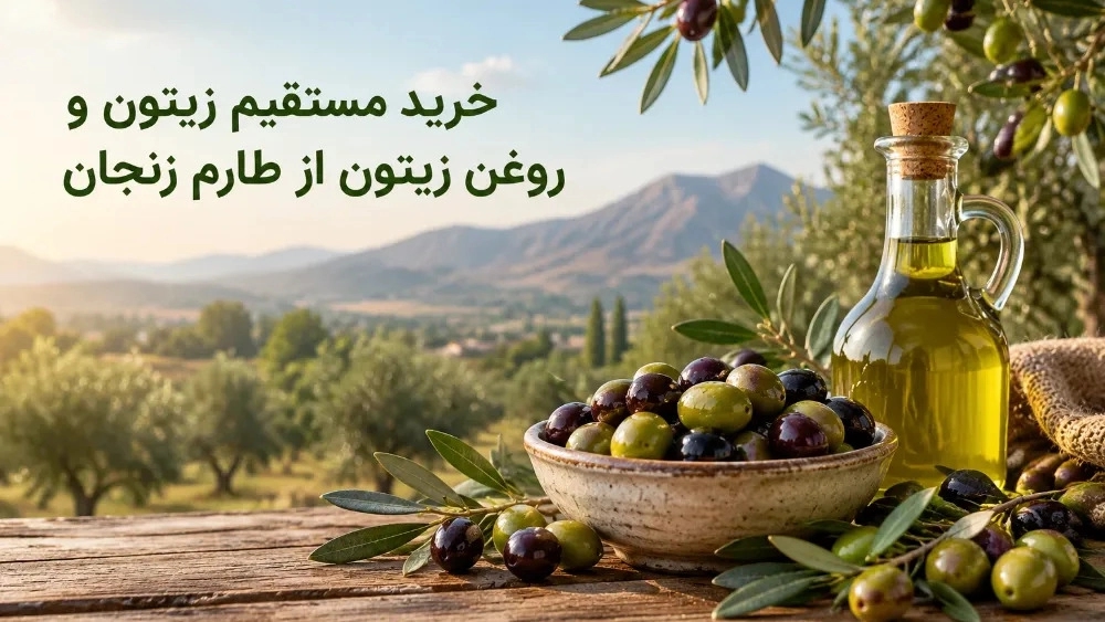 خرید مستقیم زیتون و روغن زیتون از طارم زنجان