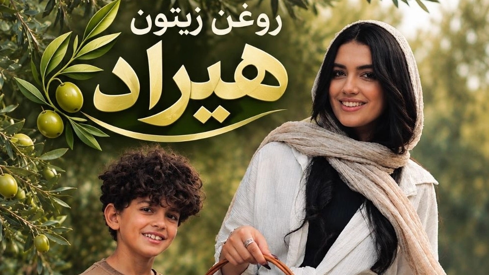 قیمت روز خرید زیتون سبز و روغن زیتون در طارم زنجان