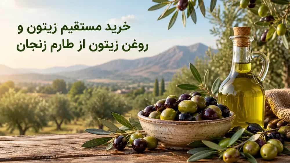 خرید مستقیم زیتون و روغن زیتون از طارم زنجان