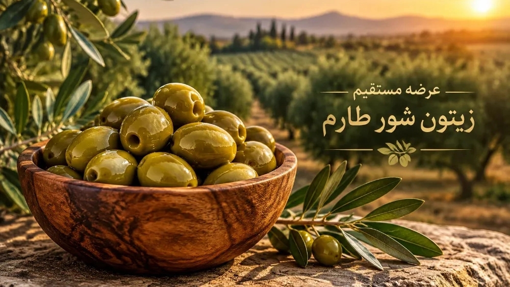 عرضه مستقیم زیتون شور با هسته طارم با کیفیت صادراتی در بازرگانی هیراد عرضه مستقیم زیتون شور با هسته طارم با کیفیت صادراتی در بازرگانی هیراد