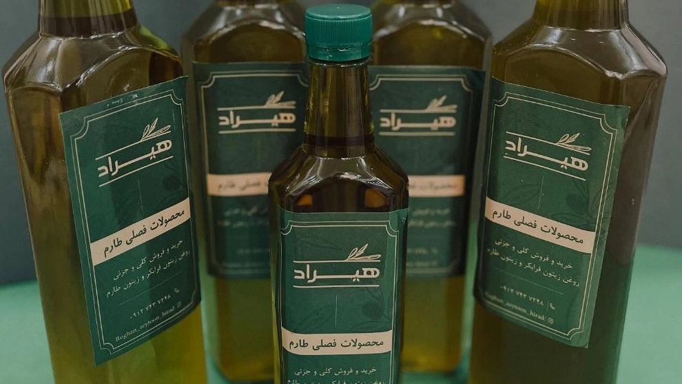 فروش روغن زیتون با بو فرابکر محلی طارم زنجان فروش روغن زیتون با بو فرابکر محلی طارم زنجان